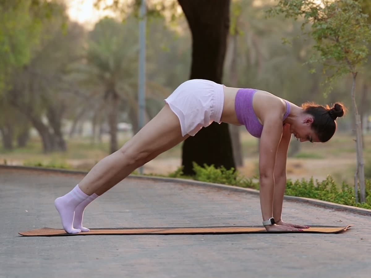 Plank held steady with a long, level spine